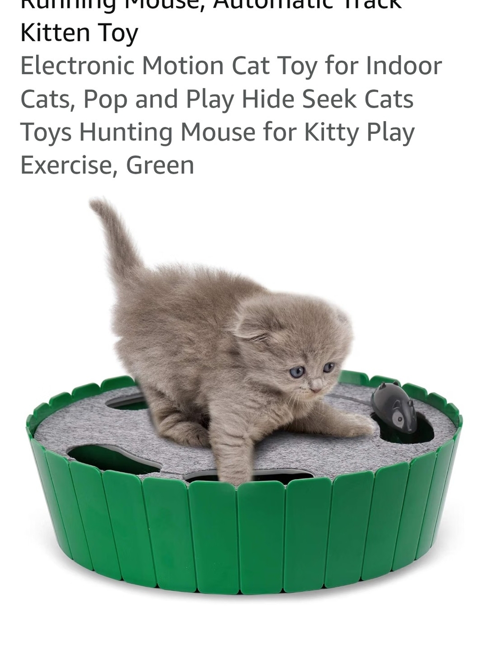 Source Unknown Green Interactive Pop-Up Mouse Cat Toy Track